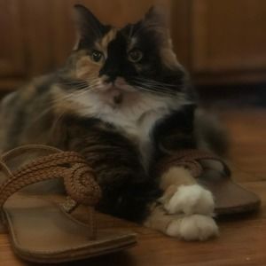 Meet your Posher, Kay